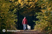 Santé mentale et bien-être à l’automne